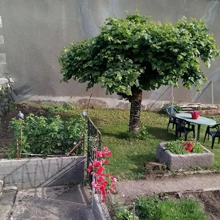 Gite Chaleureux Avec Jardin, Proche De Salers, Activites Nature Et Sports D'hiver, Wi-fi Inclus - Fr-1-742-372 Drugeac